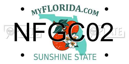 NFGC02 Florida License Plate