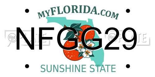 NFGG29 Florida License Plate