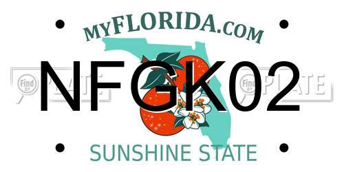 NFGK02 Florida License Plate