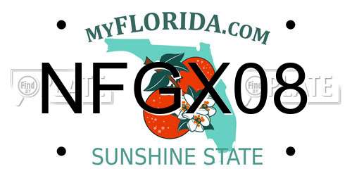 NFGX08 Florida License Plate