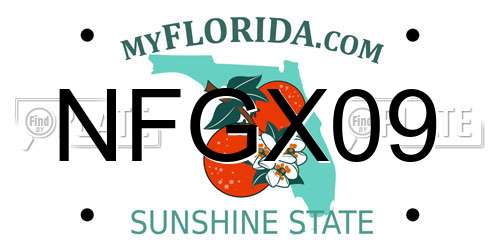 NFGX09 Florida License Plate