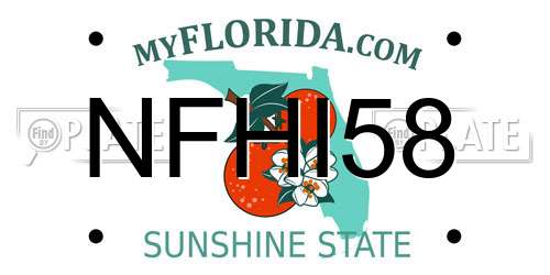 NFHI58 Florida License Plate
