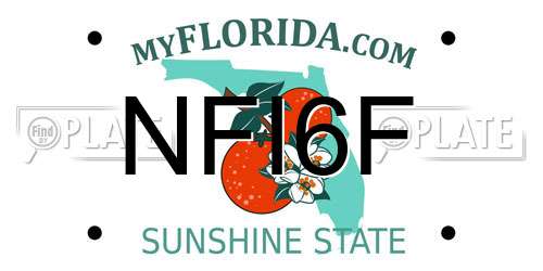 NFI6F Florida License Plate