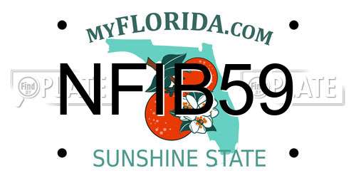 NFIB59 Florida License Plate