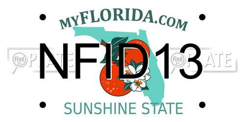 NFID13 Florida License Plate