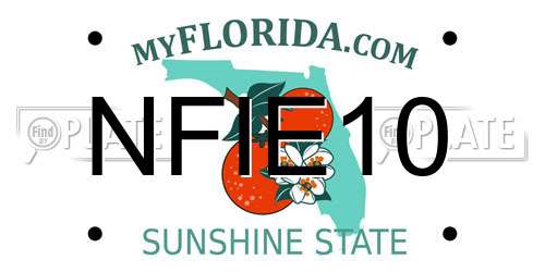 NFIE10 Florida License Plate