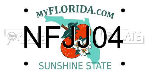 NFJJ04 Florida License Plate