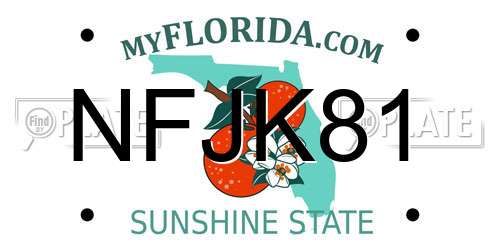 NFJK81 Florida License Plate