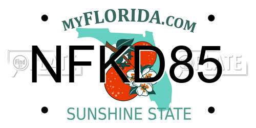 NFKD85 Florida License Plate