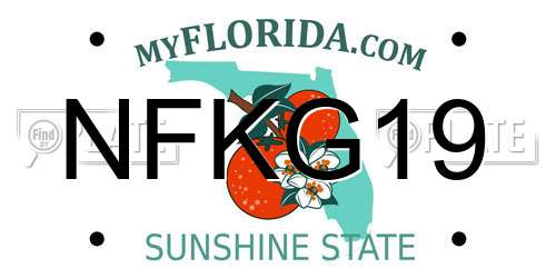 NFKG19 Florida License Plate