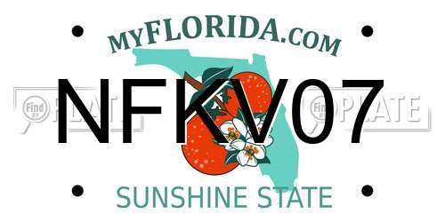 NFKV07 Florida License Plate