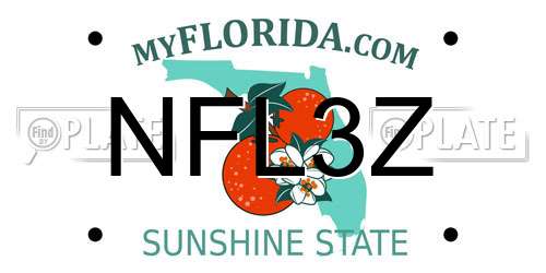 NFL3Z Florida License Plate