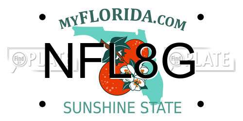 NFL8G Florida License Plate