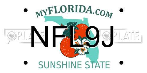 NFL9J Florida License Plate