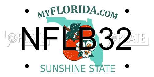 NFLB32 Florida License Plate
