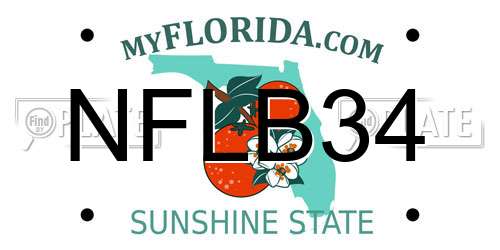 NFLB34 Florida License Plate