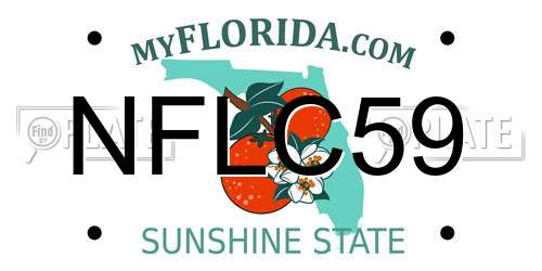 NFLC59 Florida License Plate