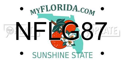 NFLG87 Florida License Plate