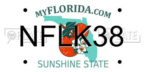 NFLK38 Florida License Plate