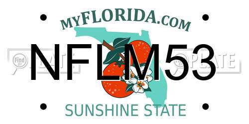 NFLM53 Florida License Plate