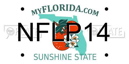 NFLP14 Florida License Plate