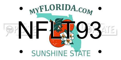 NFLT93 Florida License Plate