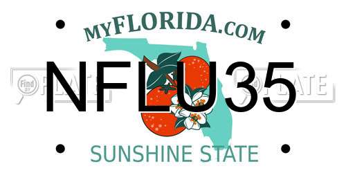 NFLU35 Florida License Plate