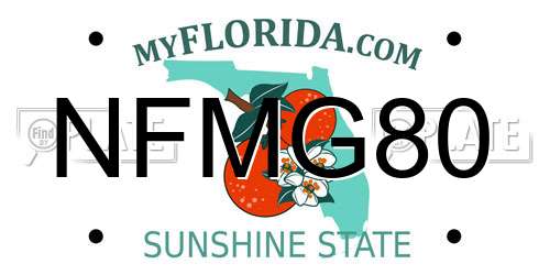 NFMG80 Florida License Plate