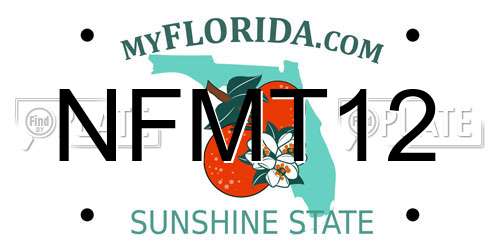NFMT12 Florida License Plate
