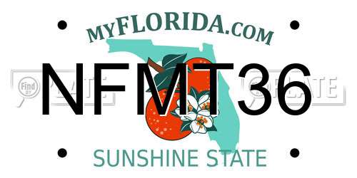 NFMT36 Florida License Plate