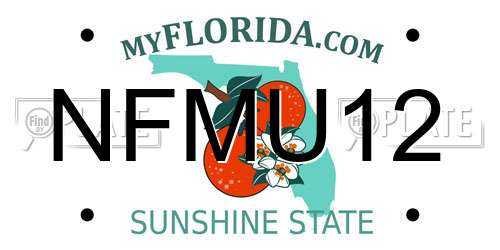 NFMU12 Florida License Plate