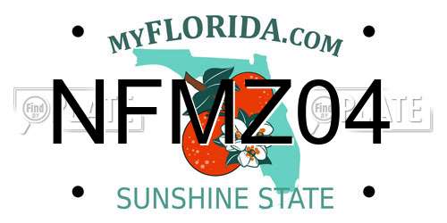 NFMZ04 Florida License Plate