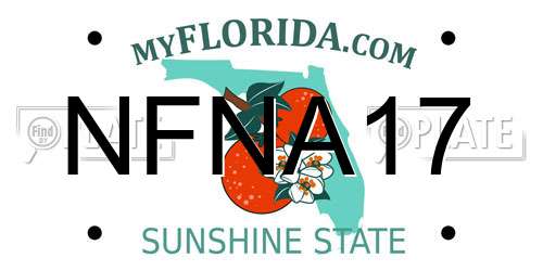 NFNA17 Florida License Plate