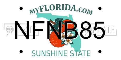 NFNB85 Florida License Plate
