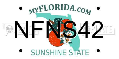 NFNS42 Florida License Plate