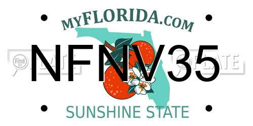 NFNV35 Florida License Plate