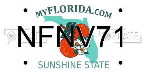 NFNV71 Florida License Plate