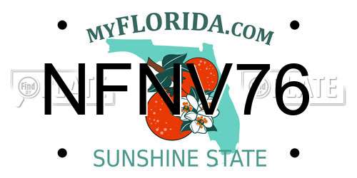 NFNV76 Florida License Plate