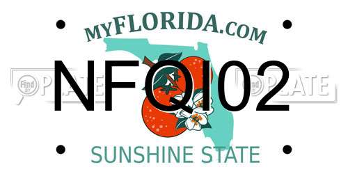 NFQI02 Florida License Plate