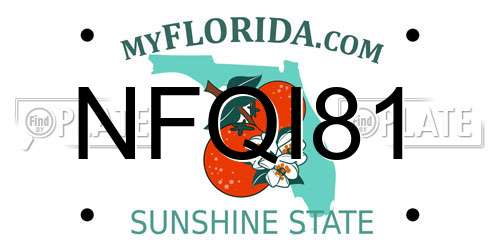 NFQI81 Florida License Plate