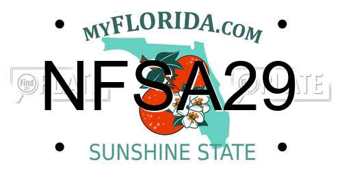 NFSA29 Florida License Plate