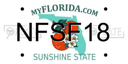 NFSF18 Florida License Plate