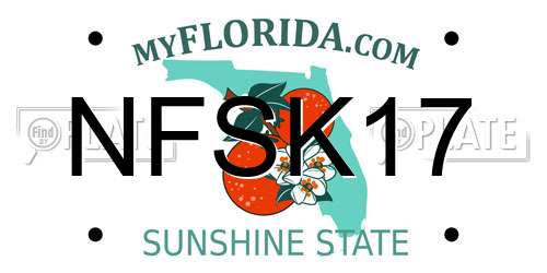 NFSK17 Florida License Plate