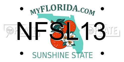 NFSL13 Florida License Plate