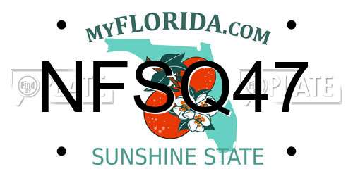 NFSQ47 Florida License Plate
