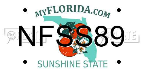 NFSS89 Florida License Plate