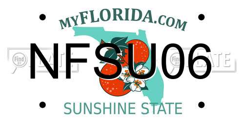 NFSU06 Florida License Plate