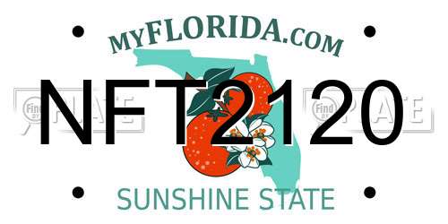 NFT2120 Florida License Plate