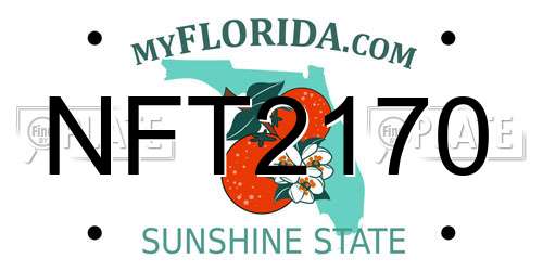 NFT2170 Florida License Plate