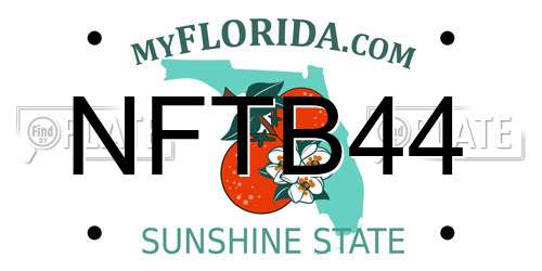 NFTB44 Florida License Plate